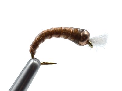 Example Listing 2 - Doc Pupa Chironomids