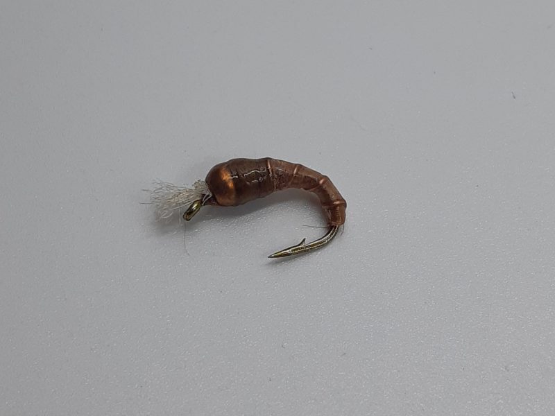 Example Listing 2 - Doc Pupa Chironomids