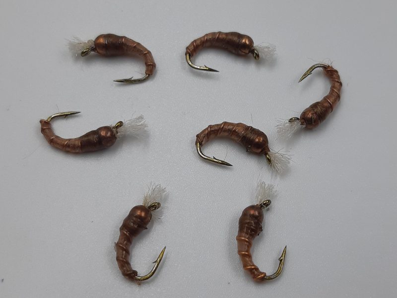 Example Listing 2 - Doc Pupa Chironomids