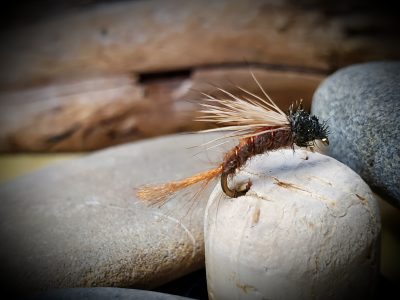 Top Notch Caddis Emerger